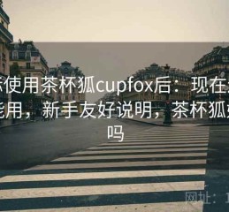实际使用茶杯狐cupfox后：现在还能不能用，新手友好说明，茶杯狐好用吗