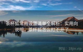 茶杯狐常用设置清单全解析：实用向说明，茶杯狐怎么打不开了