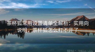 茶杯狐常用设置清单全解析：实用向说明，茶杯狐怎么打不开了