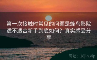 第一次接触时常见的问题是蜂鸟影院适不适合新手到底如何？真实感受分享