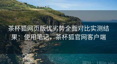 茶杯狐网页版优劣势全面对比实测结果：使用笔记，茶杯狐官网客户端