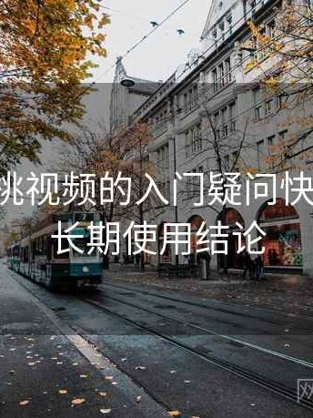 围绕蜜桃视频的入门疑问快速解答：长期使用结论