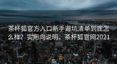 茶杯狐官方入口新手避坑清单到底怎么样？实用向说明，茶杯狐官网2021