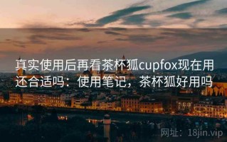 真实使用后再看茶杯狐cupfox现在用还合适吗：使用笔记，茶杯狐好用吗