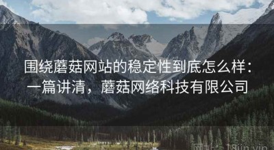 围绕蘑菇网站的稳定性到底怎么样：一篇讲清，蘑菇网络科技有限公司
