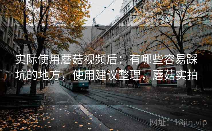 实际使用蘑菇视频后：有哪些容易踩坑的地方，使用建议整理，蘑菇实拍