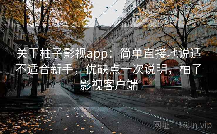 关于柚子影视app：简单直接地说适不适合新手，优缺点一次说明，柚子影视客户端