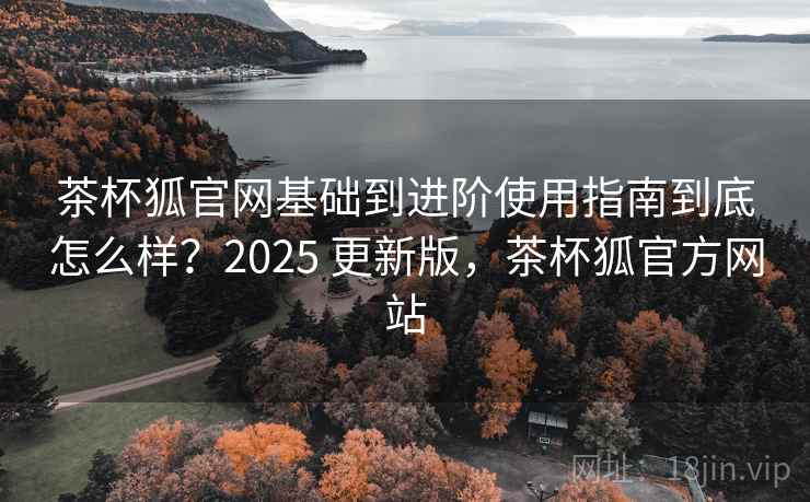 茶杯狐官网基础到进阶使用指南到底怎么样？2025 更新版，茶杯狐官方网站