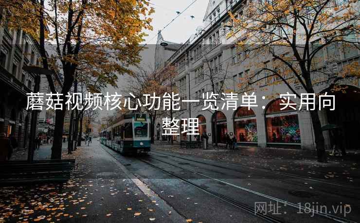 蘑菇视频核心功能一览清单：实用向整理