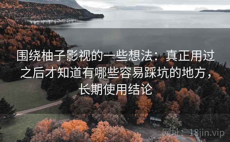 围绕柚子影视的一些想法：真正用过之后才知道有哪些容易踩坑的地方，长期使用结论